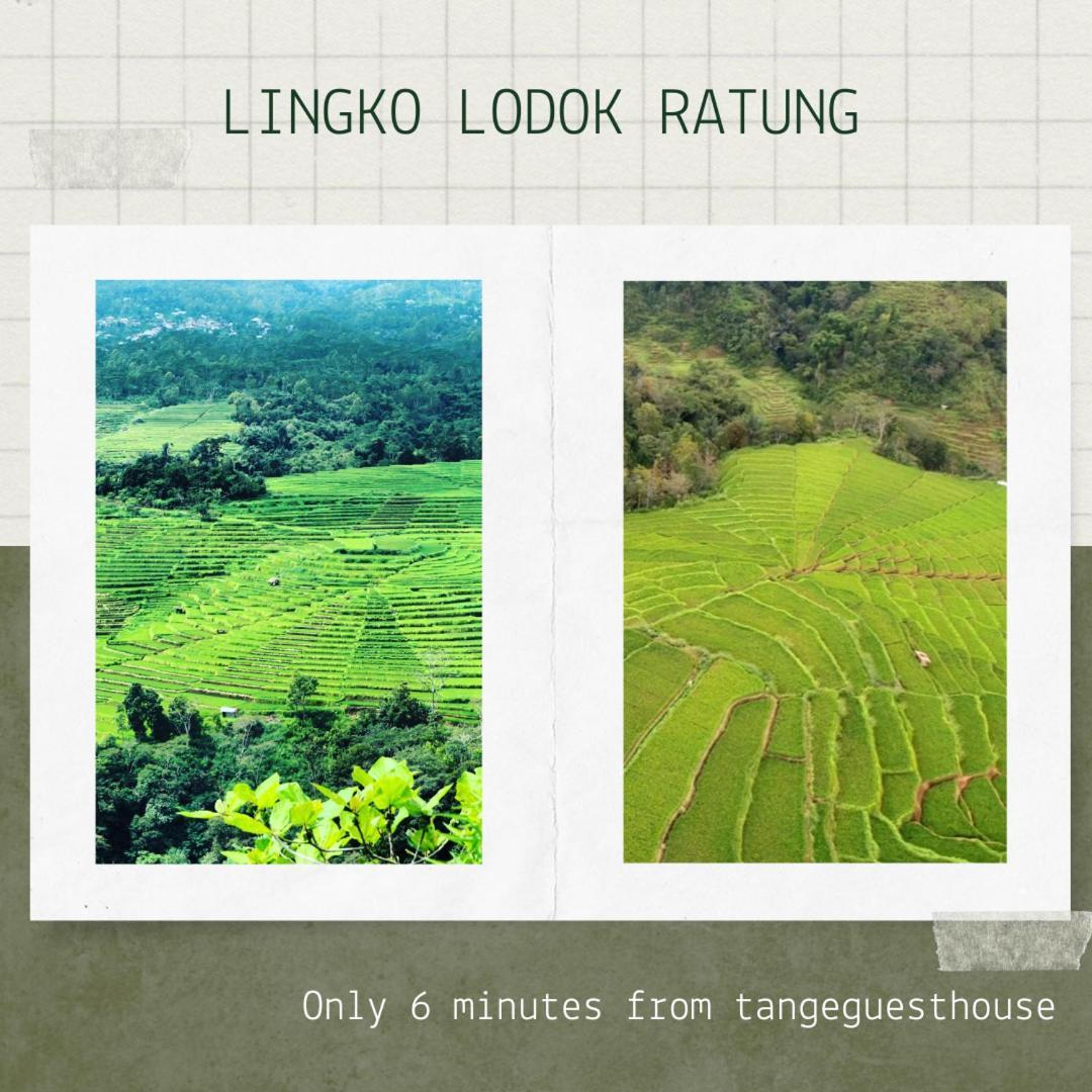 Tange Guest House Ruteng Extérieur photo